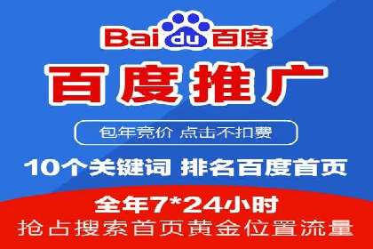 某电商平台的SEM推广实践与效果展示